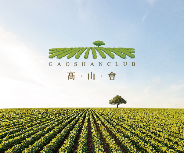 航空標志設計